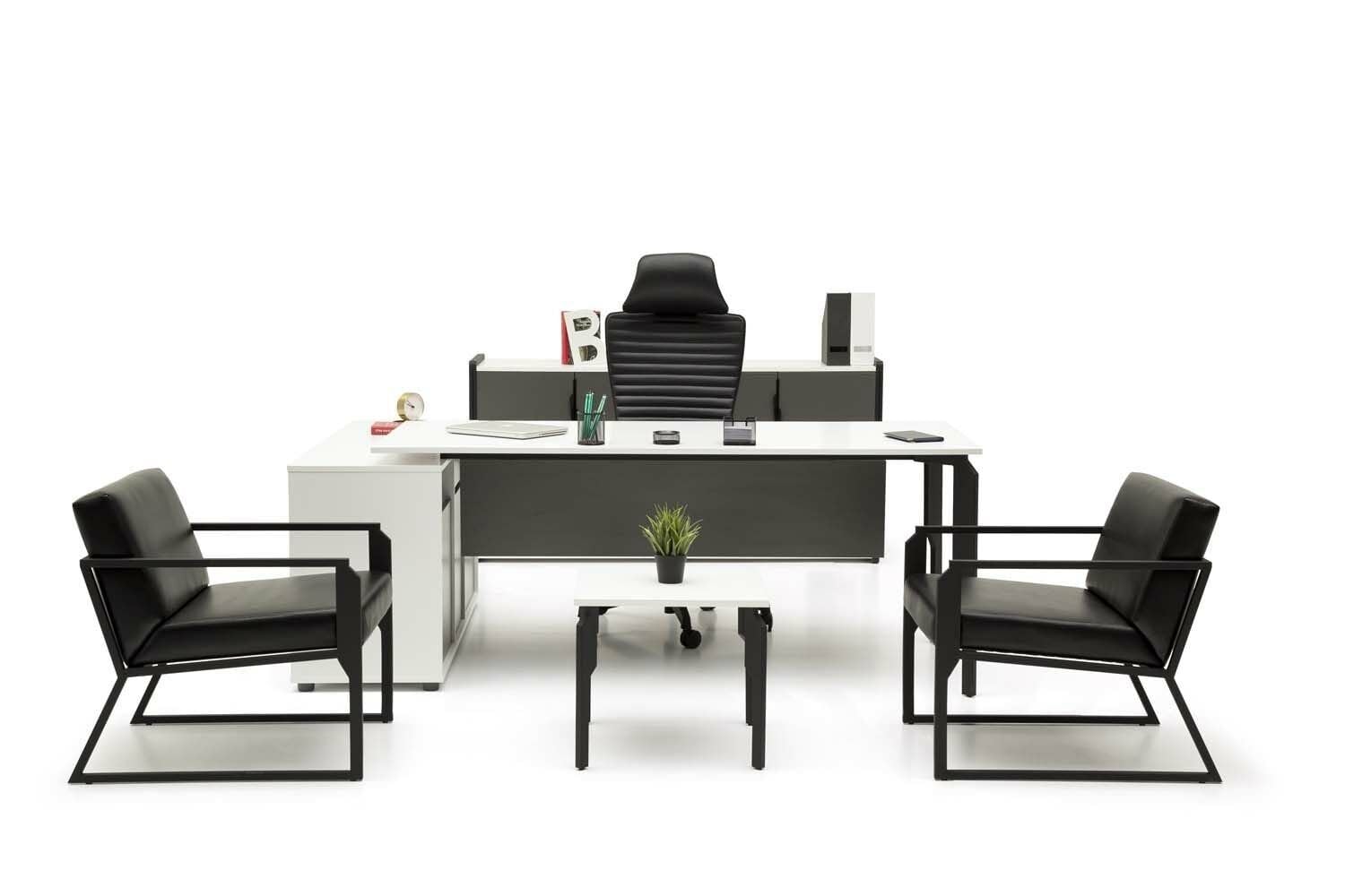 Efeler Ofis Note L2 Çalışma Masası Takımı 160x80x75h