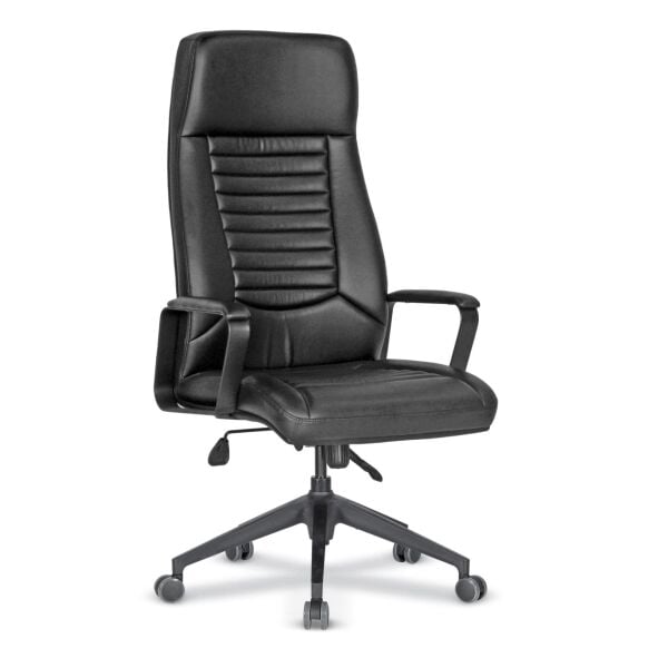 Efeler Ofis South Deri Yönetici Koltuğu