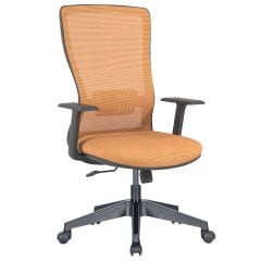 Efeler Ofis Arya Fileli Çalışma Koltuğu