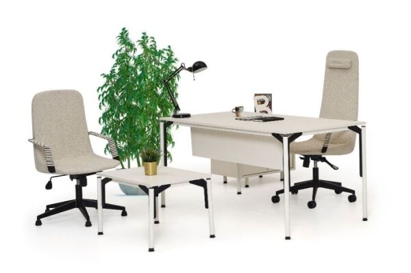 Efeler Ofis Pure Çalışma Masası Takımı